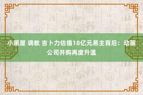 小黑屋 调教 吉卜力估值18亿元易主背后：动画公司并购再度升温