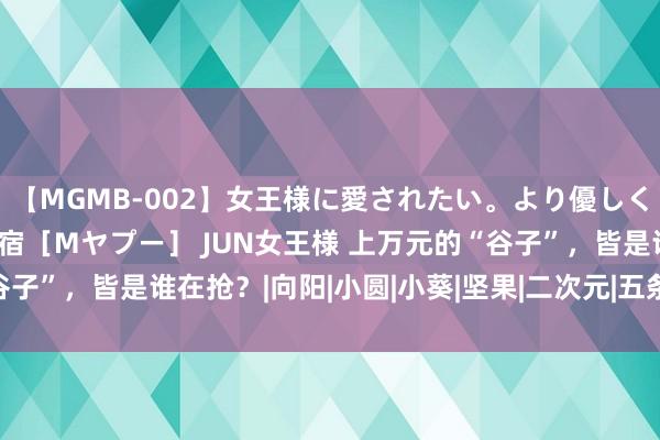 【MGMB-002】女王様に愛されたい。より優しく、よりいやらしく。 新宿［Mヤプー］ JUN女王様 上万元的“谷子”，皆是谁在抢？|向阳|小圆|小葵|坚果|二次元|五条悟|轻音仙女