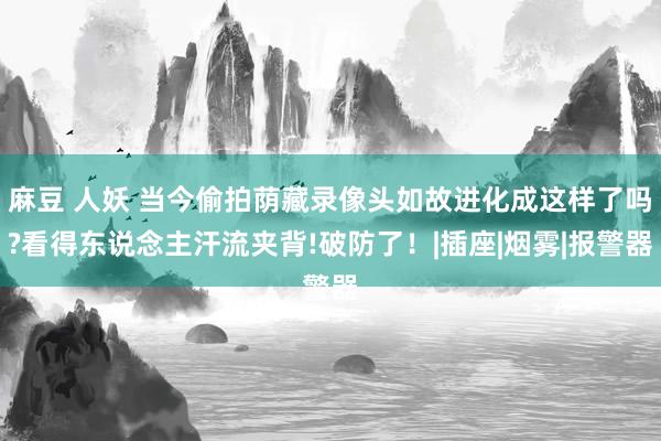 麻豆 人妖 当今偷拍荫藏录像头如故进化成这样了吗?看得东说念主汗流夹背!破防了！|插座|烟雾|报警器