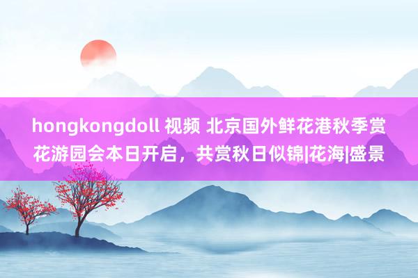 hongkongdoll 视频 北京国外鲜花港秋季赏花游园会本日开启，共赏秋日似锦|花海|盛景