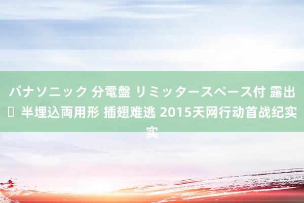 パナソニック 分電盤 リミッタースペース付 露出・半埋込両用形 插翅难逃 2015天网行动首战纪实