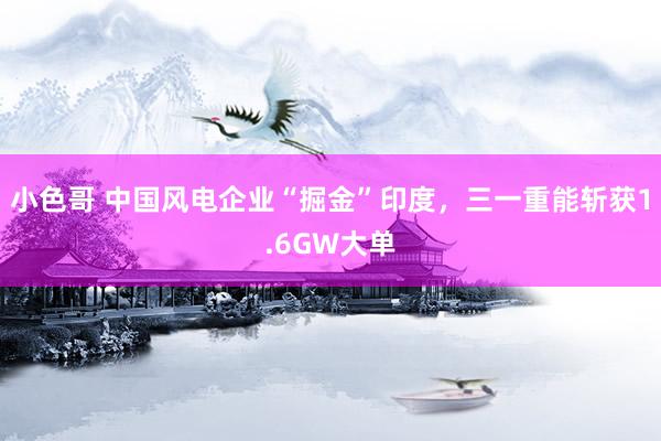 小色哥 中国风电企业“掘金”印度，三一重能斩获1.6GW大单