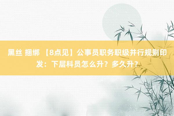 黑丝 捆绑 【8点见】公事员职务职级并行规则印发：下层科员怎么升？多久升？