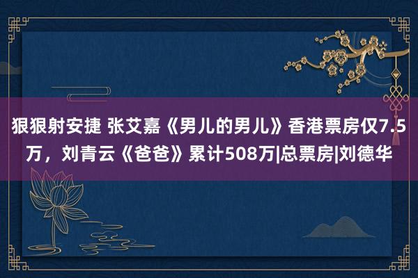 狠狠射安捷 张艾嘉《男儿的男儿》香港票房仅7.5万，刘青云《爸爸》累计508万|总票房|刘德华